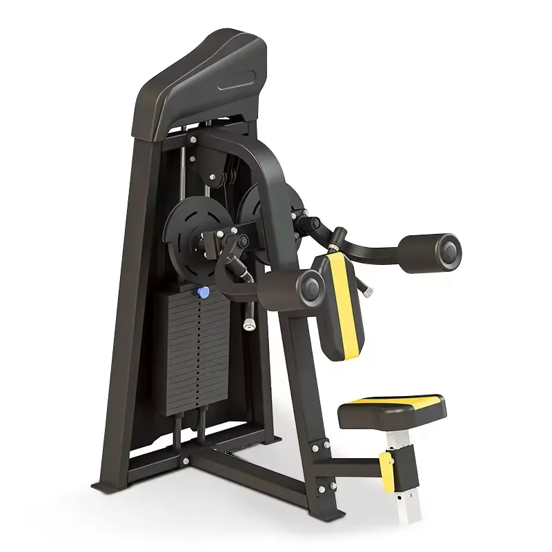 

Indoor Gym Pin Loaded Lateral Raise for Exercise and Body Building Training Manufactured by Reputable Brand