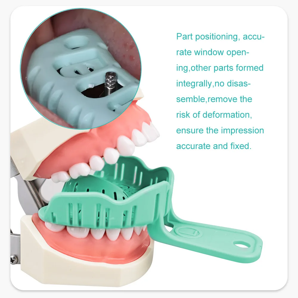 Denta Одноразовые пластиковые держатели Сине-зеленые пластиковые держатели для зубов для вращения зубов 6.