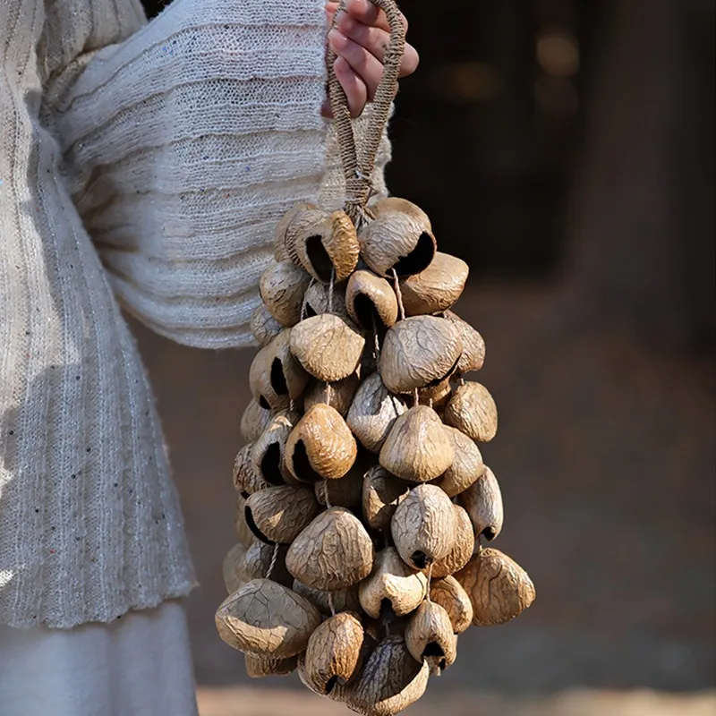 Музыкальные колокольчики из ореховой ракушки, звуковой целебный колокольчик, ветер, натуральные фруктовые ракушки, уличные колокольчики, колокольчики ручной работы, принадлежности для медитации