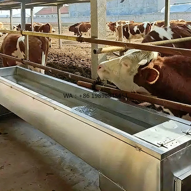 Cattle Sheep Donkey Horse Automatic Water Supply DrinkerStainless Steel Heating Constant Temperature Water Trough