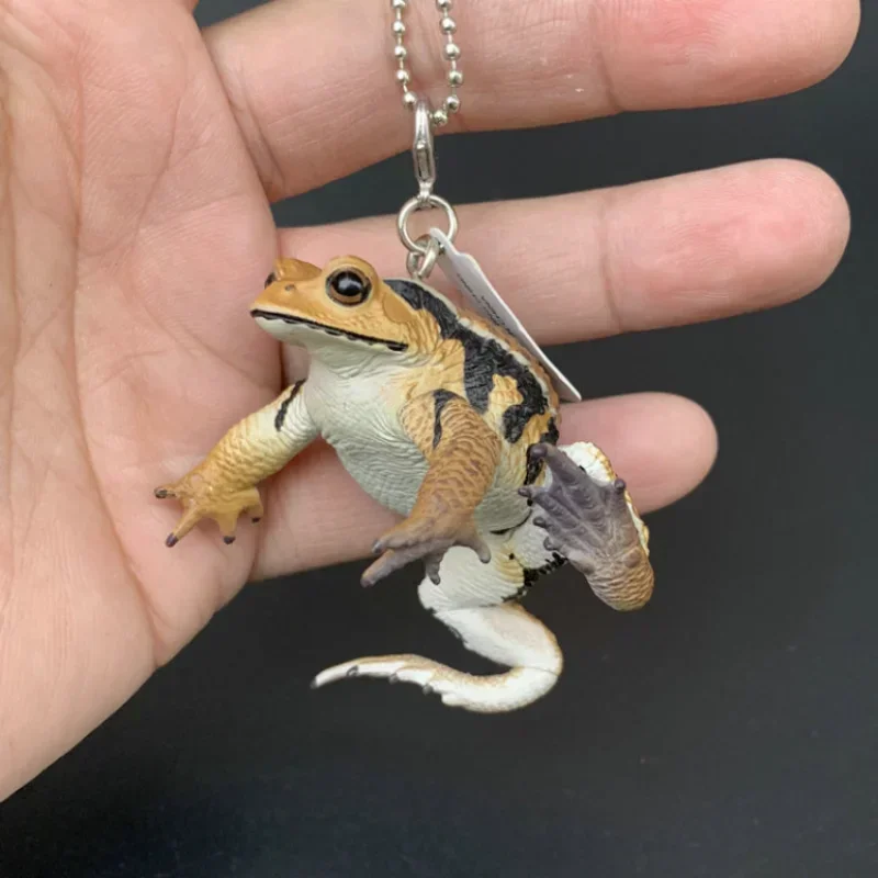 KITAN CLUB Original Gashapon Capsule Toys Figure Kawaii Cute NTC Tree Frog Toad Magnet Keychain Miniature Figurine Anime Decor