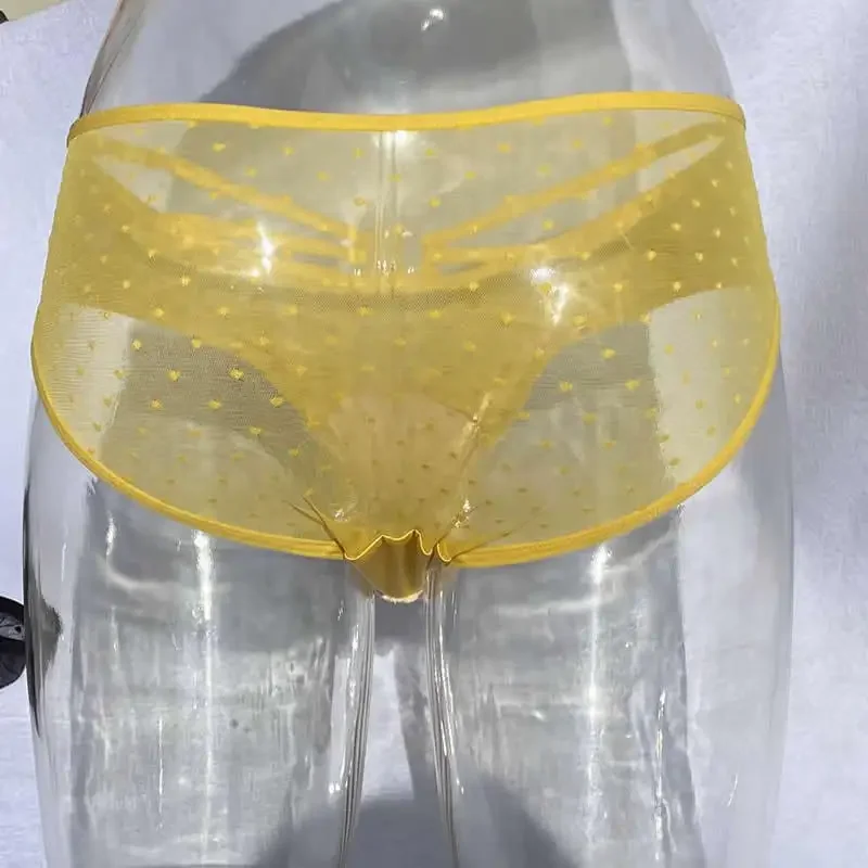Camel Toe Control Panty Hiding Gaff Underwear Crossdresser Transgender See Through Briefs Drag Queen Shemale Ladyboy Panties