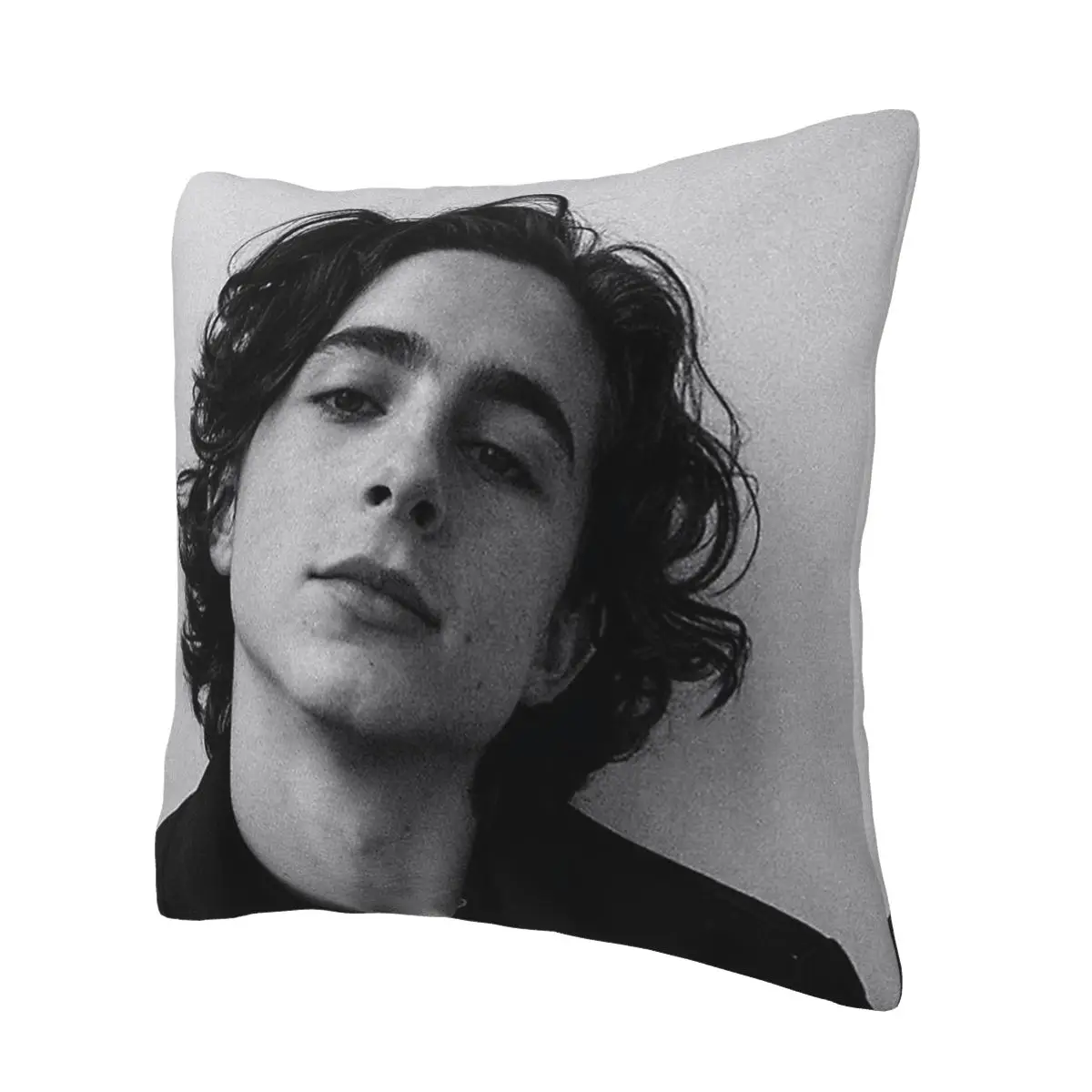 Timothee Chalamet  timmy chalamet lgbt Pillowcase Soft Cushion Cover Gift Pillow Case Cover for Home Double-sided Printed