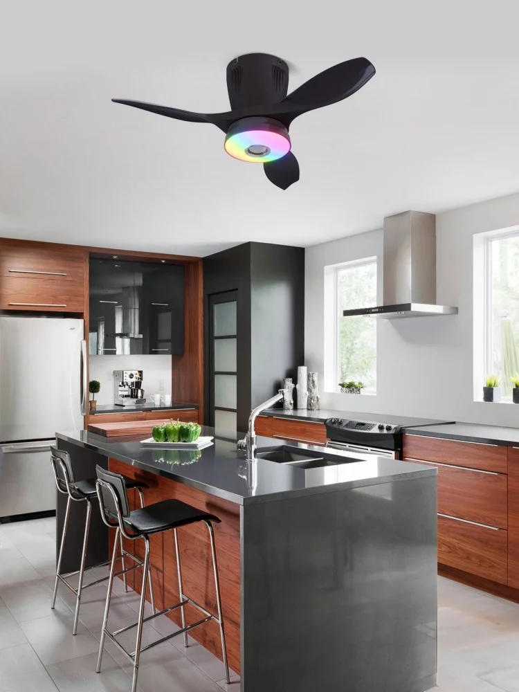 RGB ventilateur de plafond lumière télécommande Bluetooth haut-parleur ventilateurs de maison cuisine salon chambre décor lumière intérieure ventilateur LED lampe
