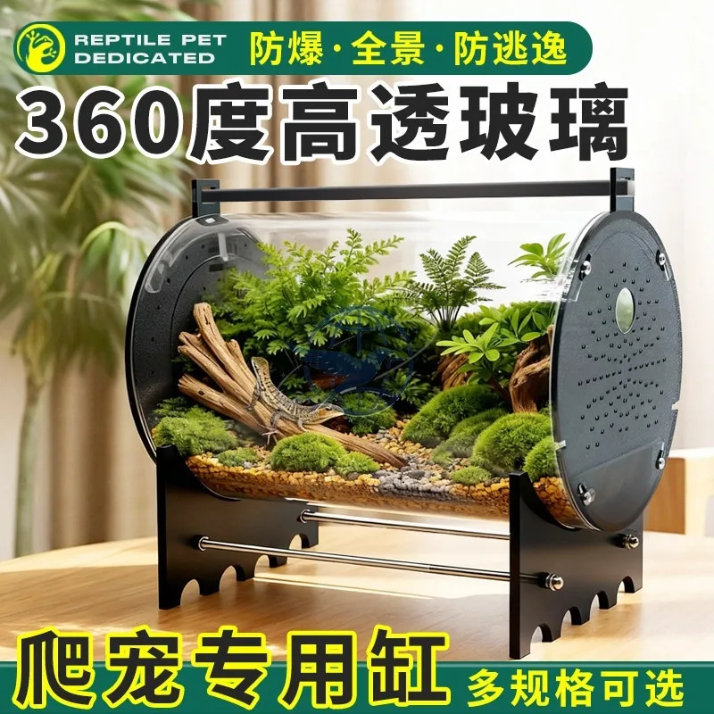 climbing pet feeding box, rainforest lizard, palace-guarding horned frog, hermit crab, spider, mantis, songworm feeding box.