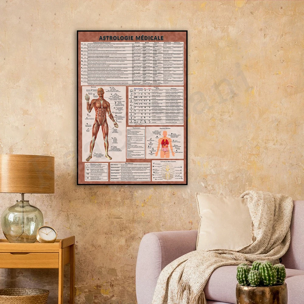 Medical Astrology Poster, Wall Art Decor Vintage Poster Canvas Print, Gift Ideas