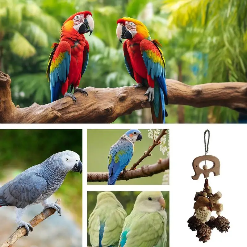 Bird Chew Pine Cones Dangling Wooden Bird Toy Parrot molar Chewing string for small to medium sized birds Improves Dental-Health