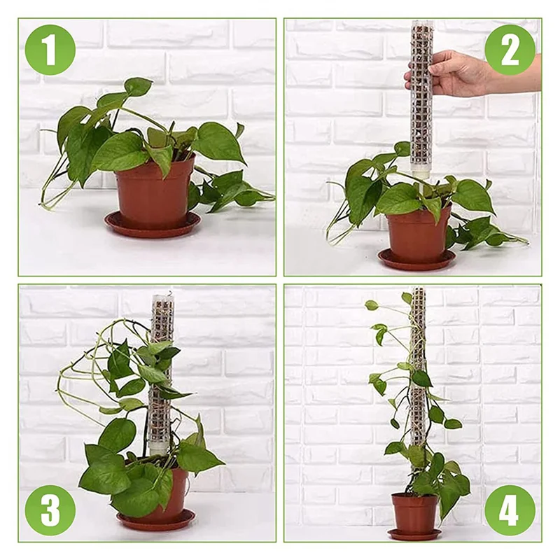 A43T 12 قطعة عمود الطحلب البلاستيكي 15 بوصة عمود شبكي شفافة عمود الطحلب الصغير حصة للنباتات Monstera بوعاء النباتات #3