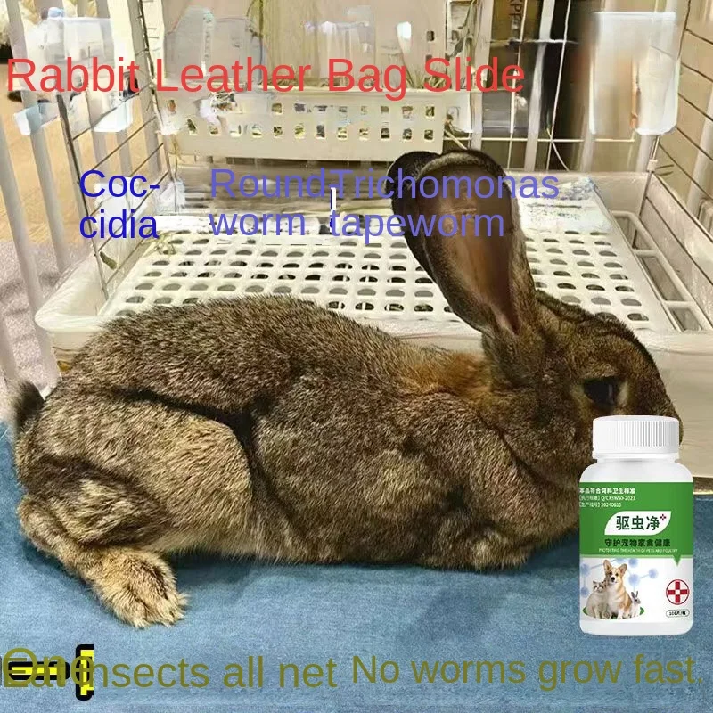 

Rabbit deworming pregnant rabbits can be safe in vivo and in vitro parasites Ascaris long-acting dog cat chicken ascaris hookwor