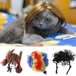 Interesting Cat Puppy Hair Accessories Pet Wig for Cats Small Dogs Kitten Cosplay Hat Suit for Party Halloween katzen zubehör