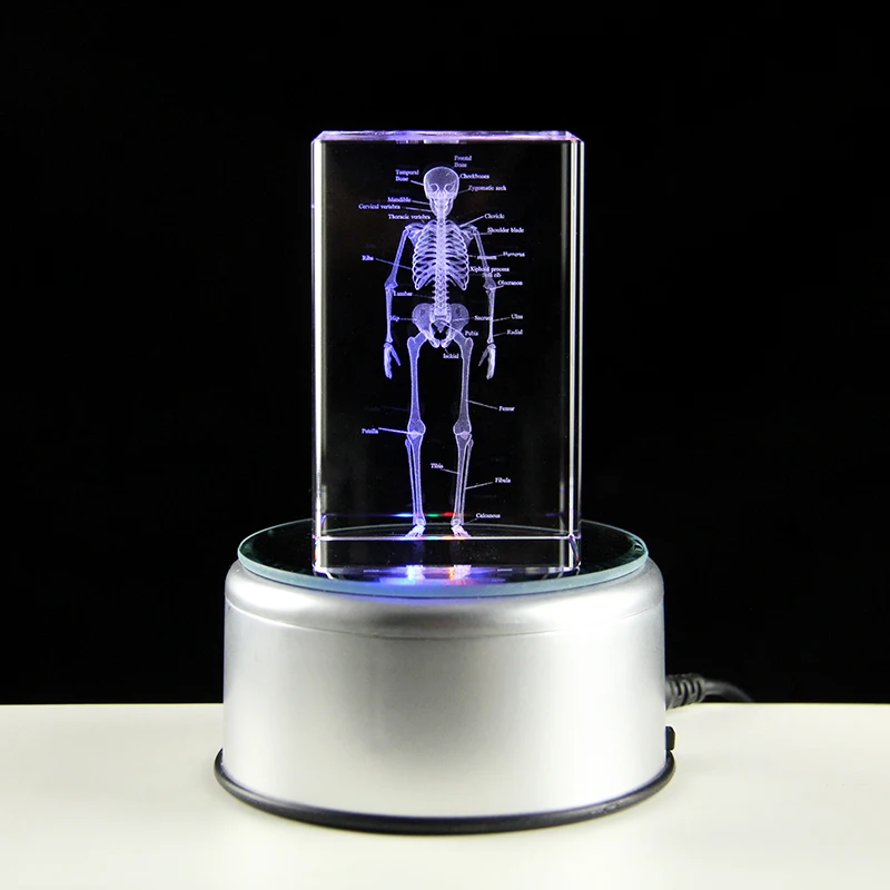 3D Laser Engraved Human Skeletal Crystal Cube Figurines, Medical Science Gifts, Souvenir Organ Anatomical Model Paperweight