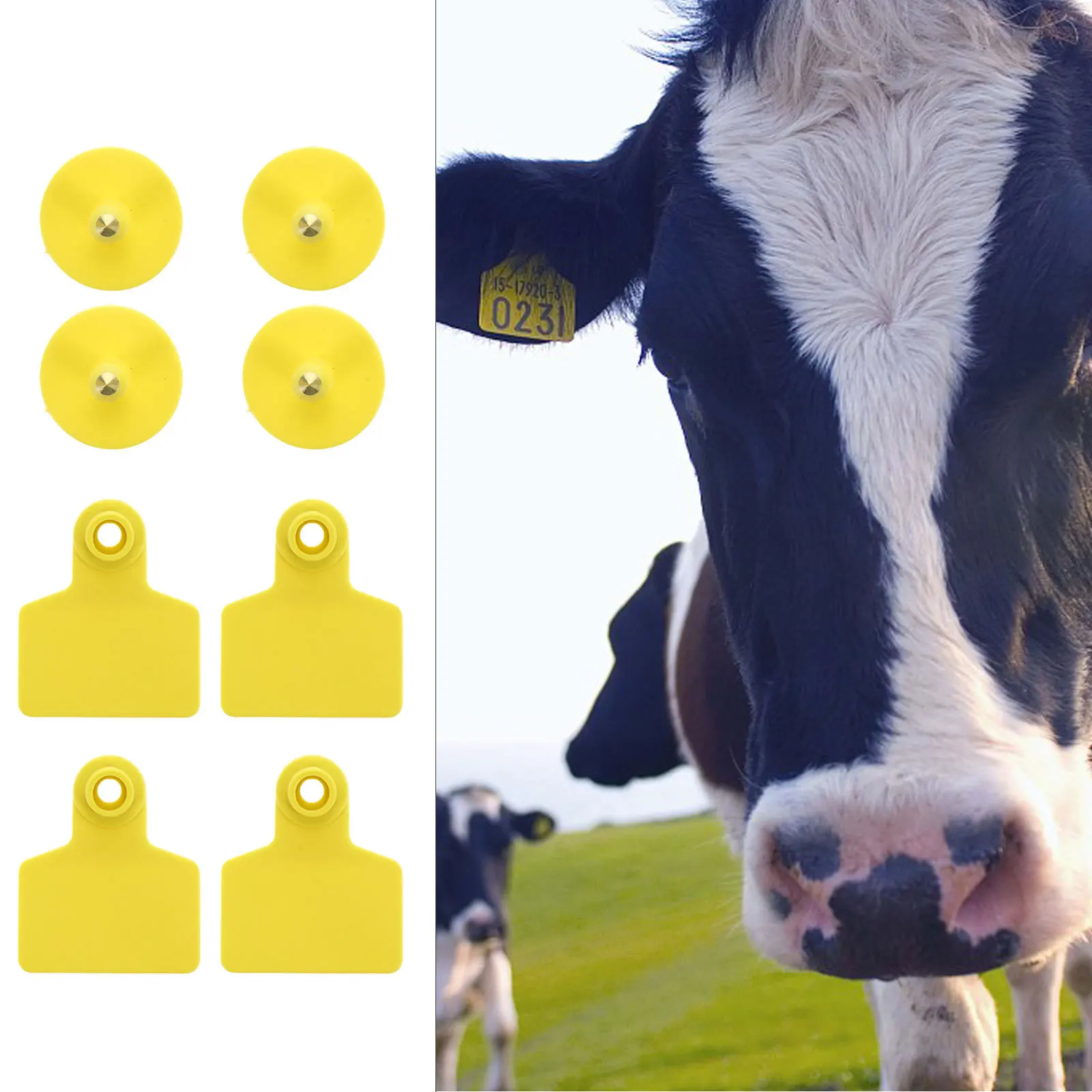 

100Pcs Pig Ear Tags with Pin Strong Tpu Livestock Ear Tags for Cows Sheep Horses Goats Rustproof Studs Easy Id