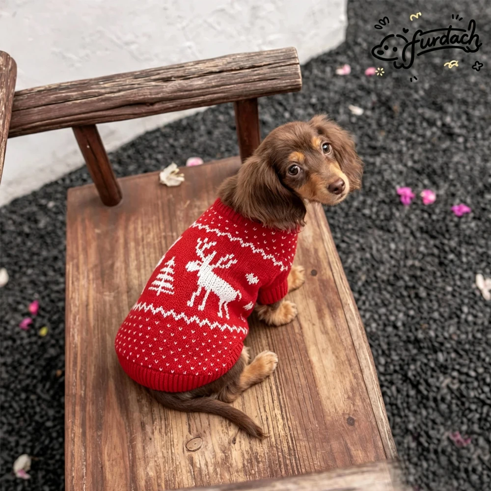 Gebreide kerstjas voor teckels, loungekleding voor teckels, klassieke Britse wintertrui voor teckels.