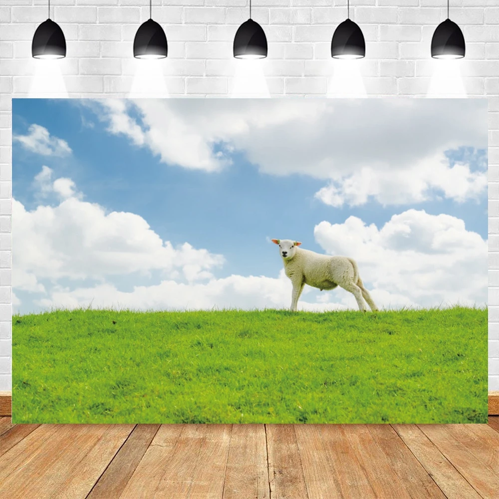 농장 녹색 잔디 실제 풍경 사진 배경 용수철, 흐릿한 야외 장면 사진 포토콜 배경 사진 스튜디오