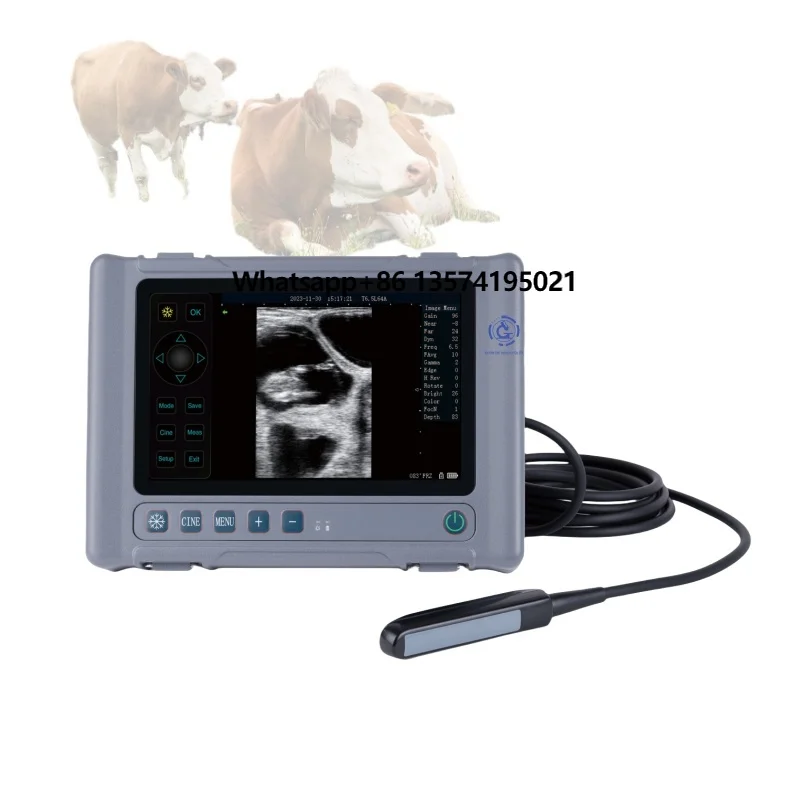 Portable Handheld Electrocardiograph Human Veterinary Software Economic Ultrasound Sonar Device