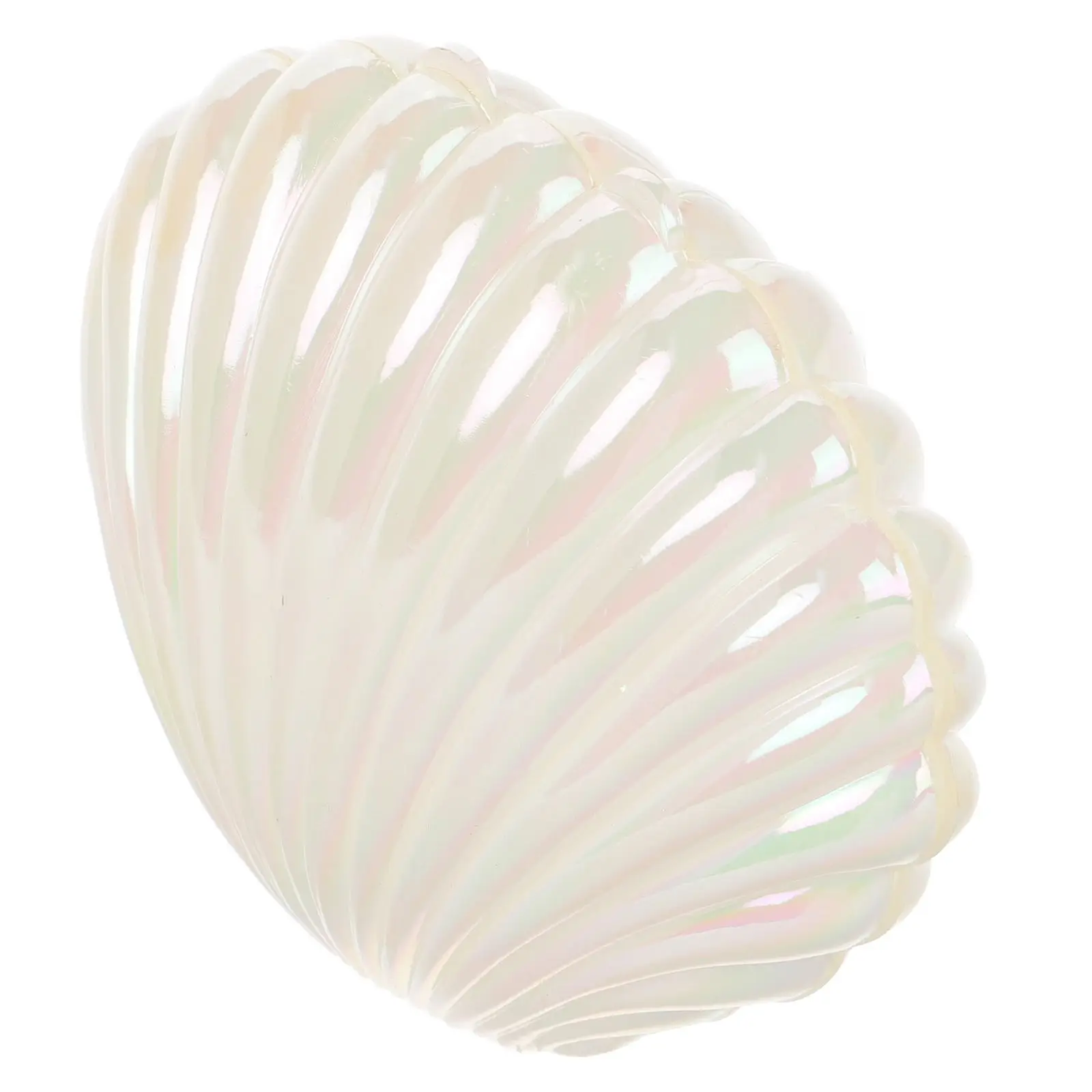 

Shell Shaped Jewelry Box White Plastic Container for Earrings Necklaces Bracelets Storage Case Home Decor Organizer Seashell