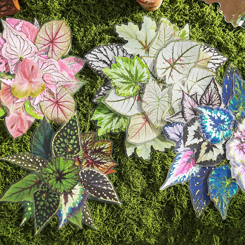 20 個植物花葉 PET ステッカーパックハンドアカウントコラージュジャンクジャーナルプランナースクラップブッキング装飾文具ステッカー