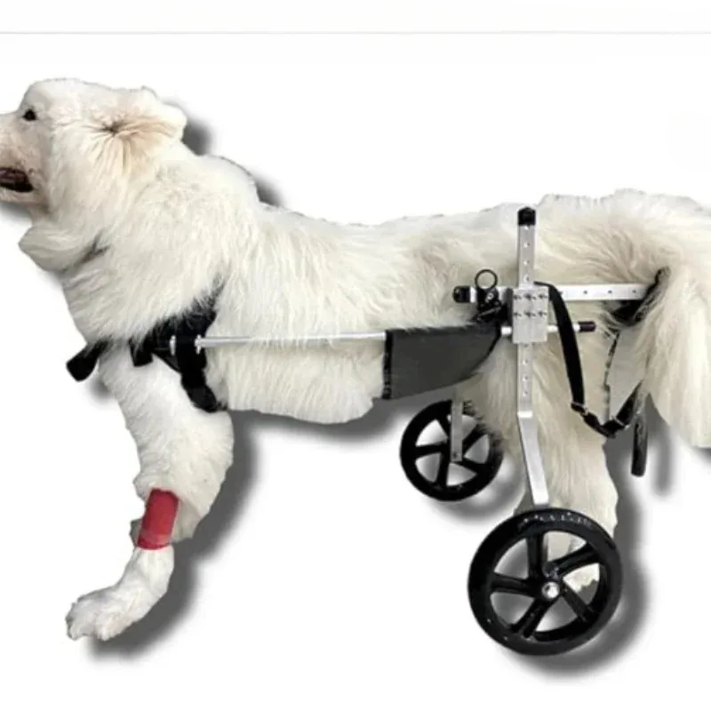 Pet Wheel-Chair D-O…
