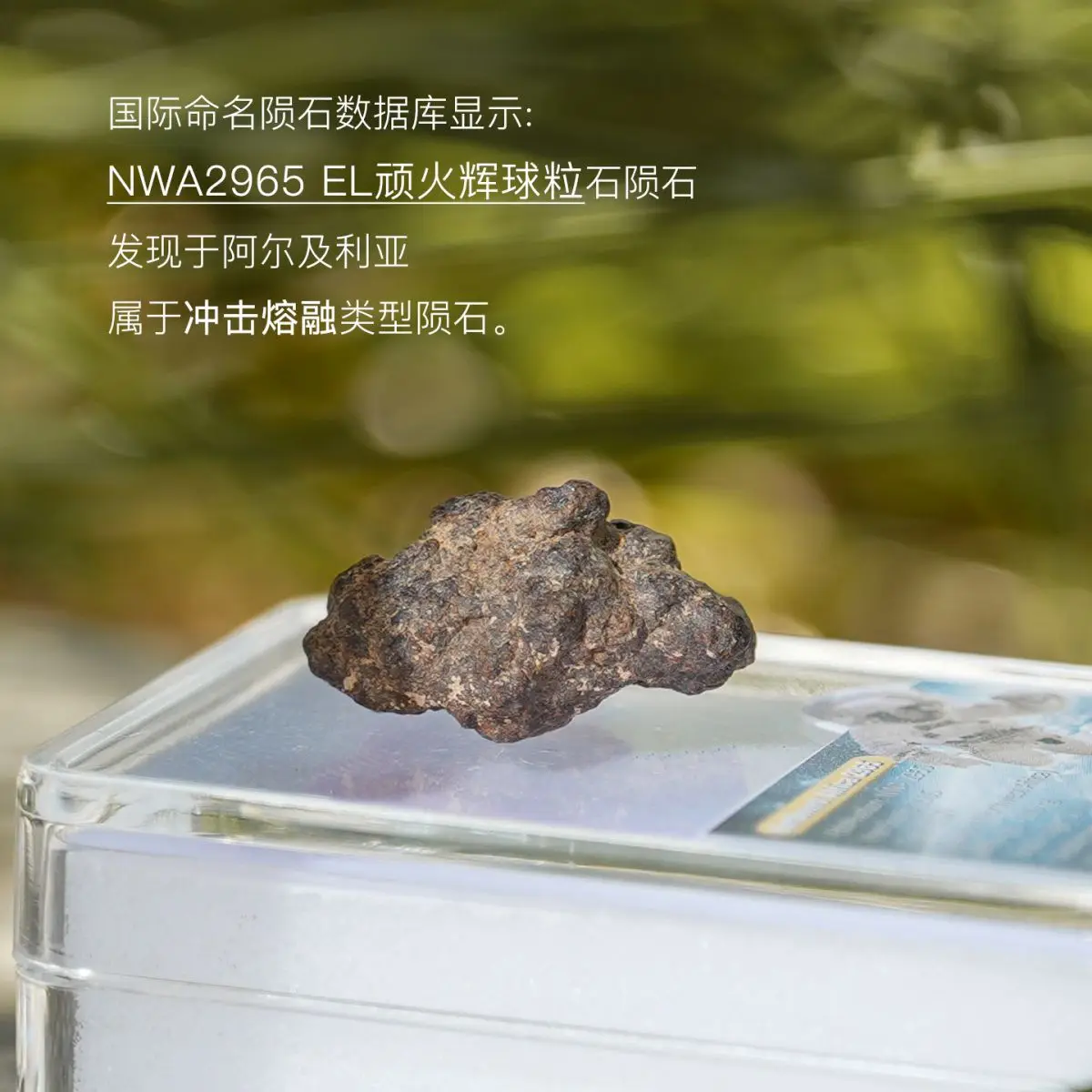 Acrylic Box 2-4Pcs Barringer Iron Meteorite (Canyon Diablo),Small Meteortie Raw Specimen Rough Stone Algeria