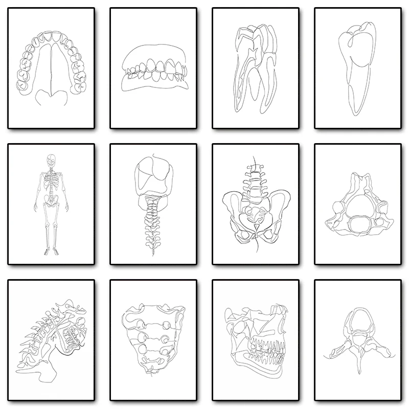 Human Anatomy Line Art Posters Bone Spine Skeleton Canvas Printing Minimalist Medical Wall Art Pictures for Clinic Office Decor