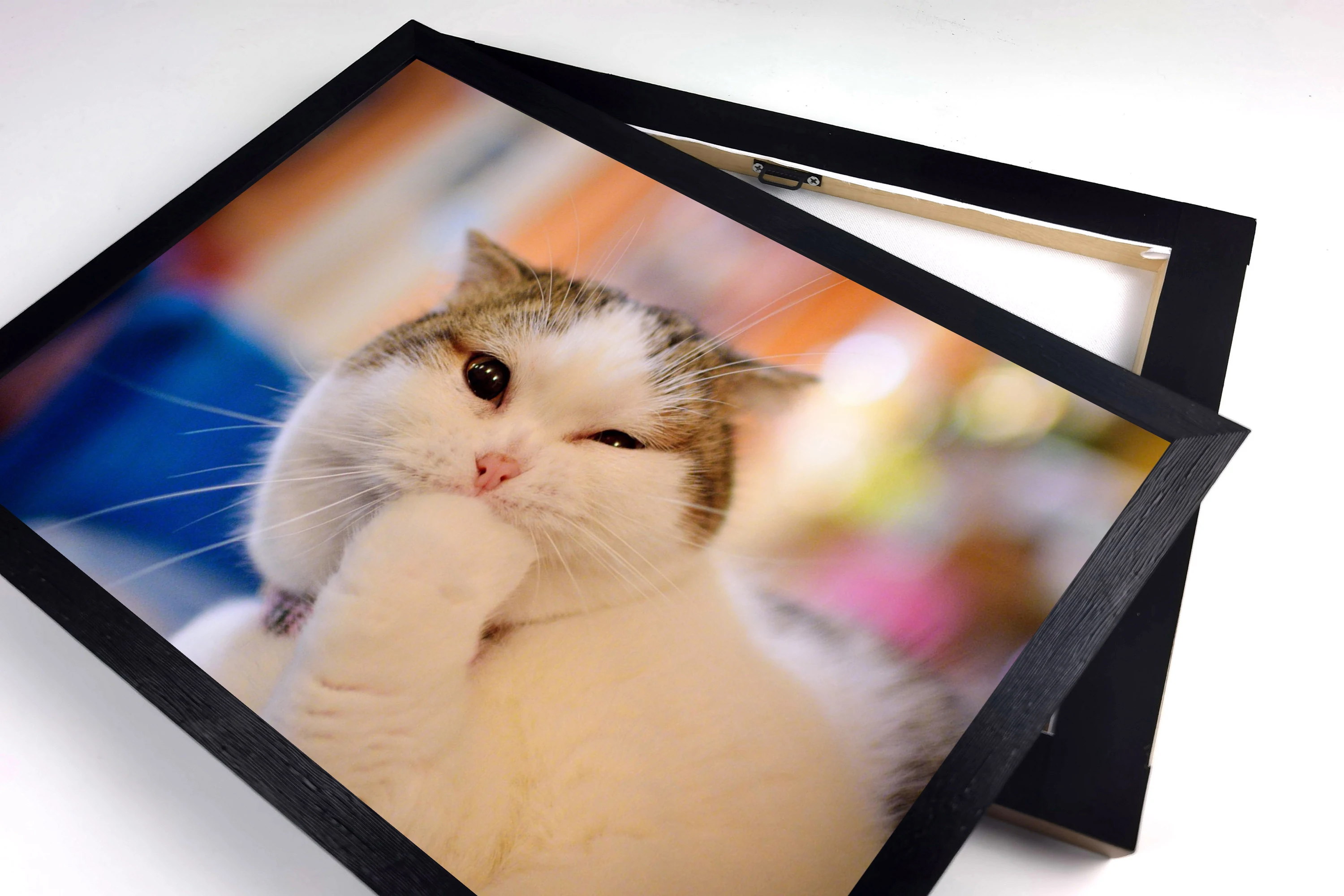 Personalized Pet Pictures, Custom Cat Photos Prints on Canvas, Waterproof & Fade Resistant, Multiple Sizes Available, Upload