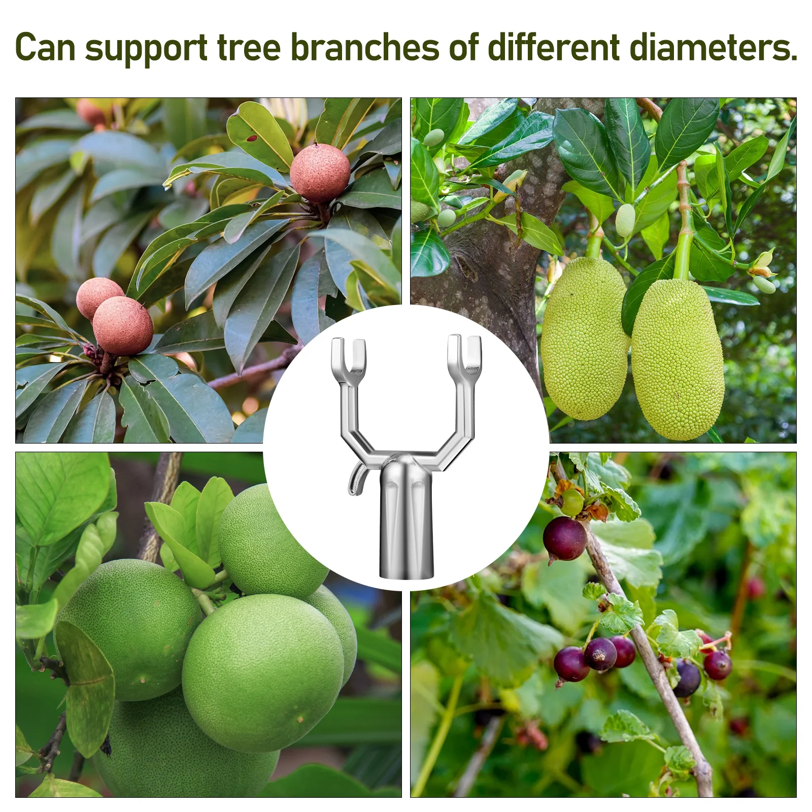 

6 Pcs Fruit Tree Support Fork Branches Supports Trees Young Stakes Ties Clothes