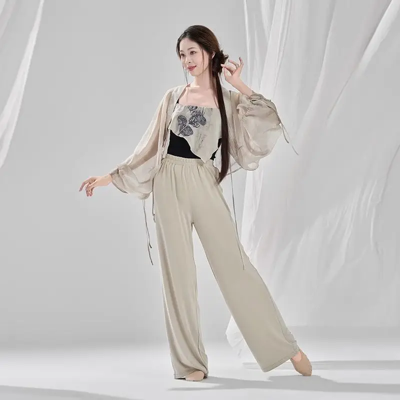 [3355 명 수집] 인쇄 된 흐르는 거즈 드레스, 중국 무용 고대 스타일의 새로운 고전 무용 공연 의상