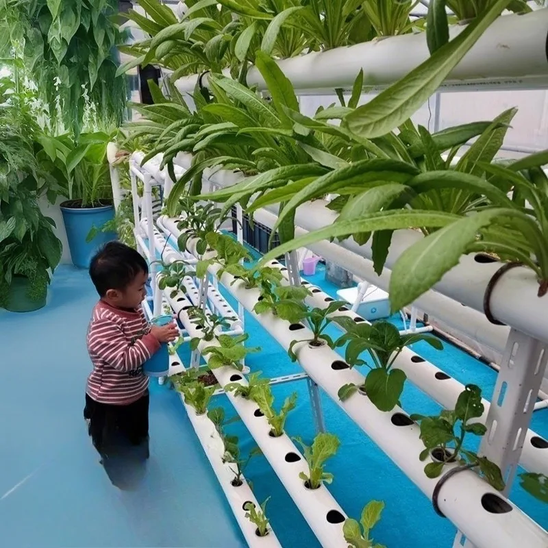 

Hydroponic planting rack Home balcony School greenhouse Pipeline Soilless vegetable multi-layer cultivation rack