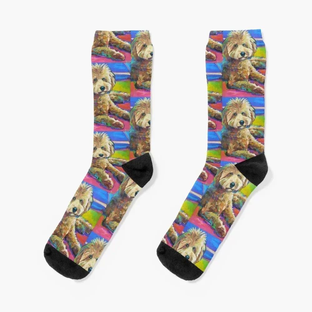 Gracie the LABRADOODLE Socks cotton shoes warm winter Boy Socks Women's