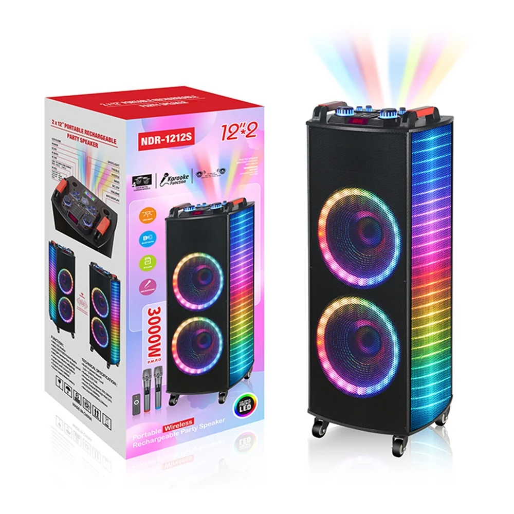 Ningda 100W Super High Power Dual 12inch Karaoke Speaker RGB LED Lighting Dual Microphone Stage Use Super Bass Cool