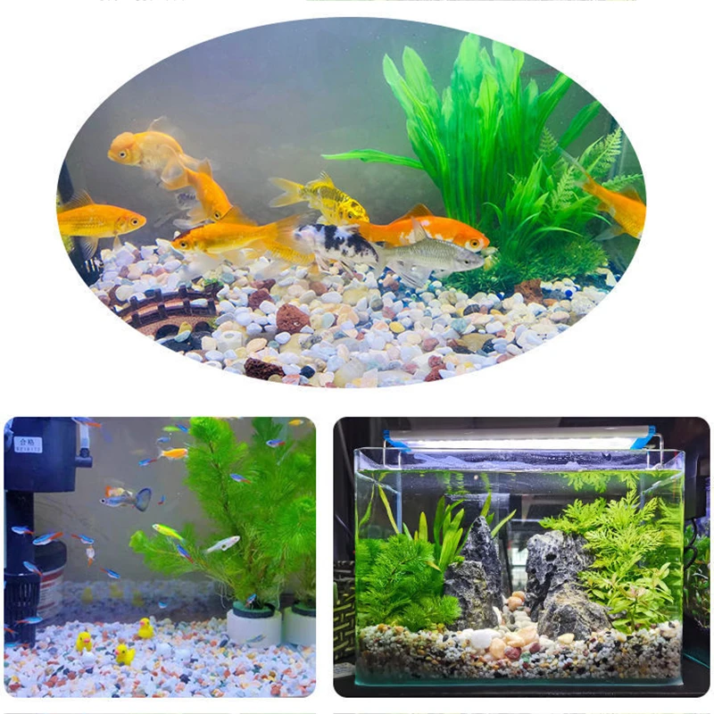 Natural Gravel Stone 200~1000g - Aquarium Plant Gravel ulasan dan harga