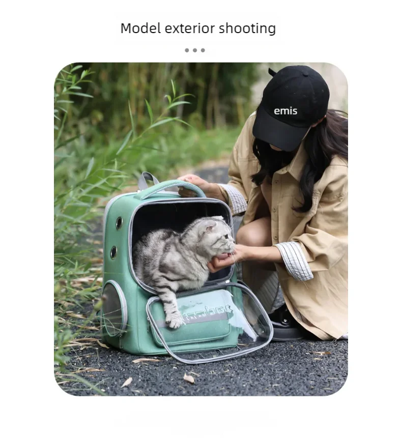 애완 동물 가방, 강아지 및 고양이 가방, 휴대용 투명 우주 캡슐 고양이 가방, 비행 케이스