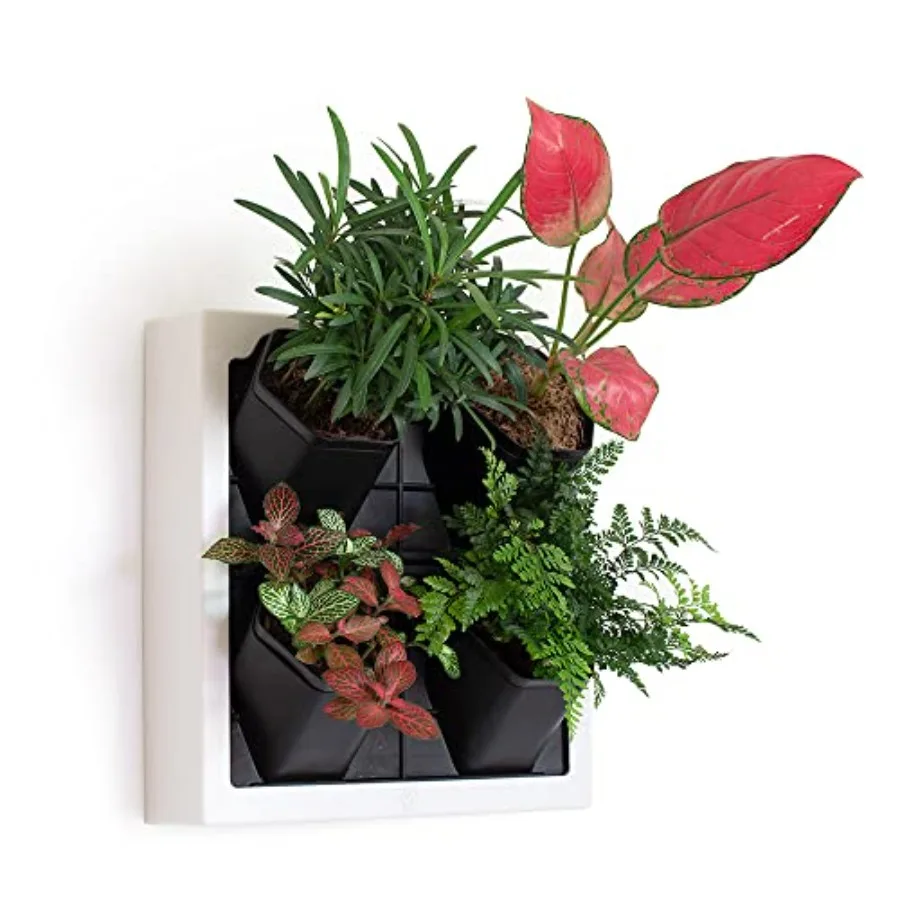 

Self Watering Wall Planter with 4 Pots - Easy to Create Indoor Living Wall for Home Office and Shop Front - Includes Water Gaug