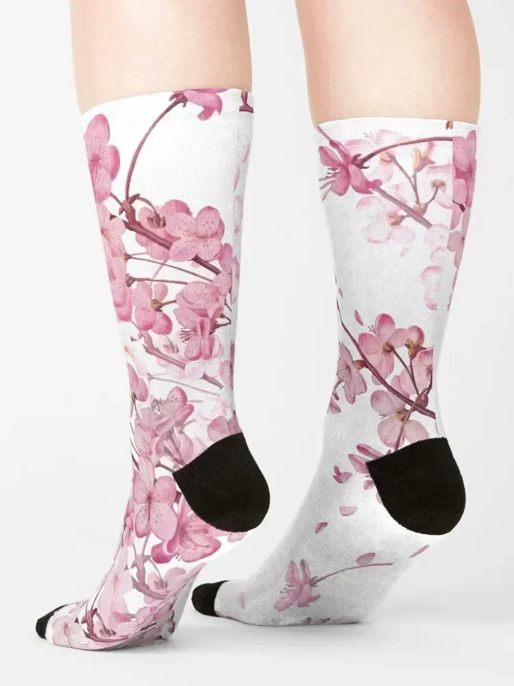 جوارب ساكورا تشيري بلوسوم هدية لركوب الدراجات، جوارب مضادة للانزلاق للسيدات والرجال