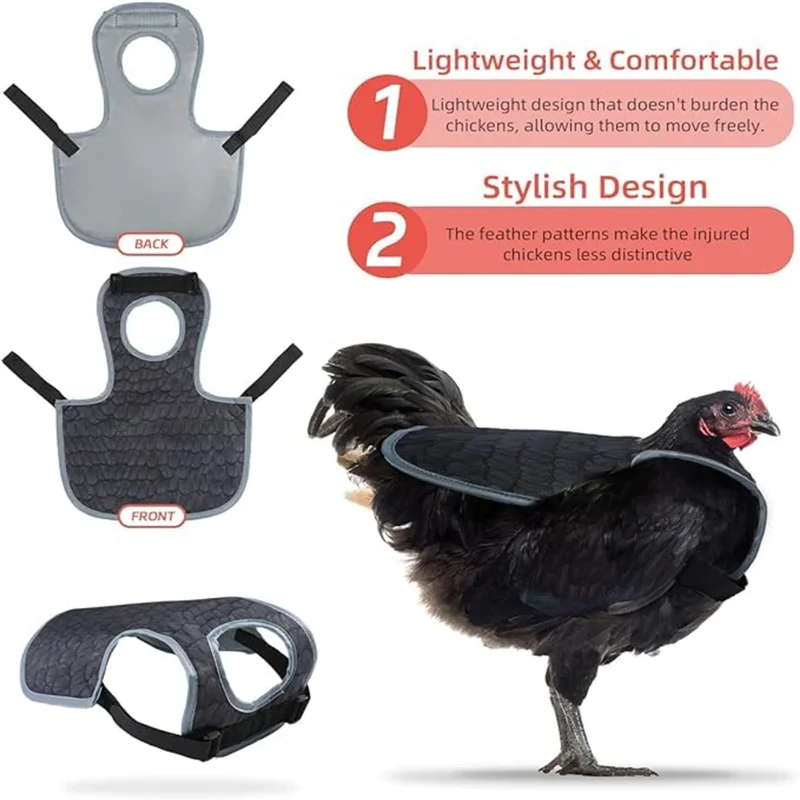 Abks-Chicken Saddle…