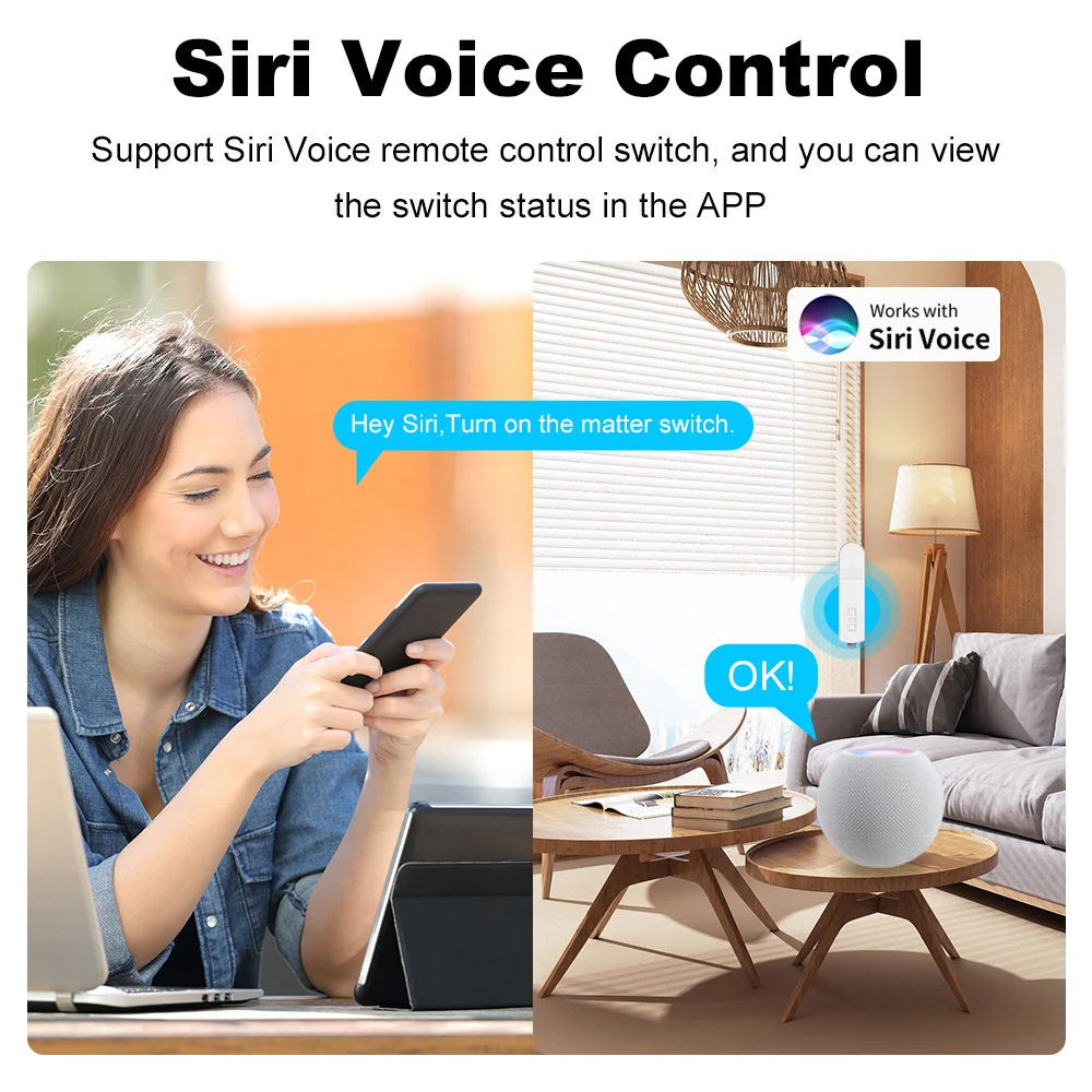 Matter Smart Electric Rolloer Blinds Motor HomeKit Blinds Motorized Motor Blinds Pull Bead Curtain Motor Siri Voice Control