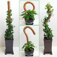 Cross-border Gardening Cocoanut Stick Green Pot Fixed Plant Climbing Cane Flower Support Cocoanut Climbing Cane Moss Rod 1pc 5