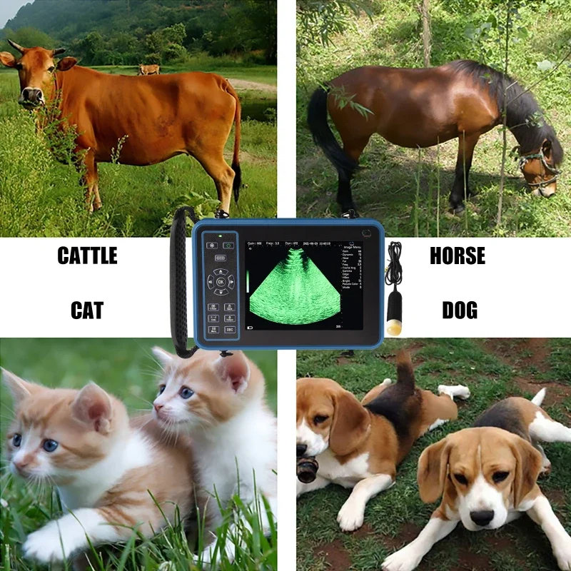 Veterinary Ultrasound Scanner Portable  Pregnancy Testing for Pig Cattle Cow Sheep Horse Farm Animals Pet