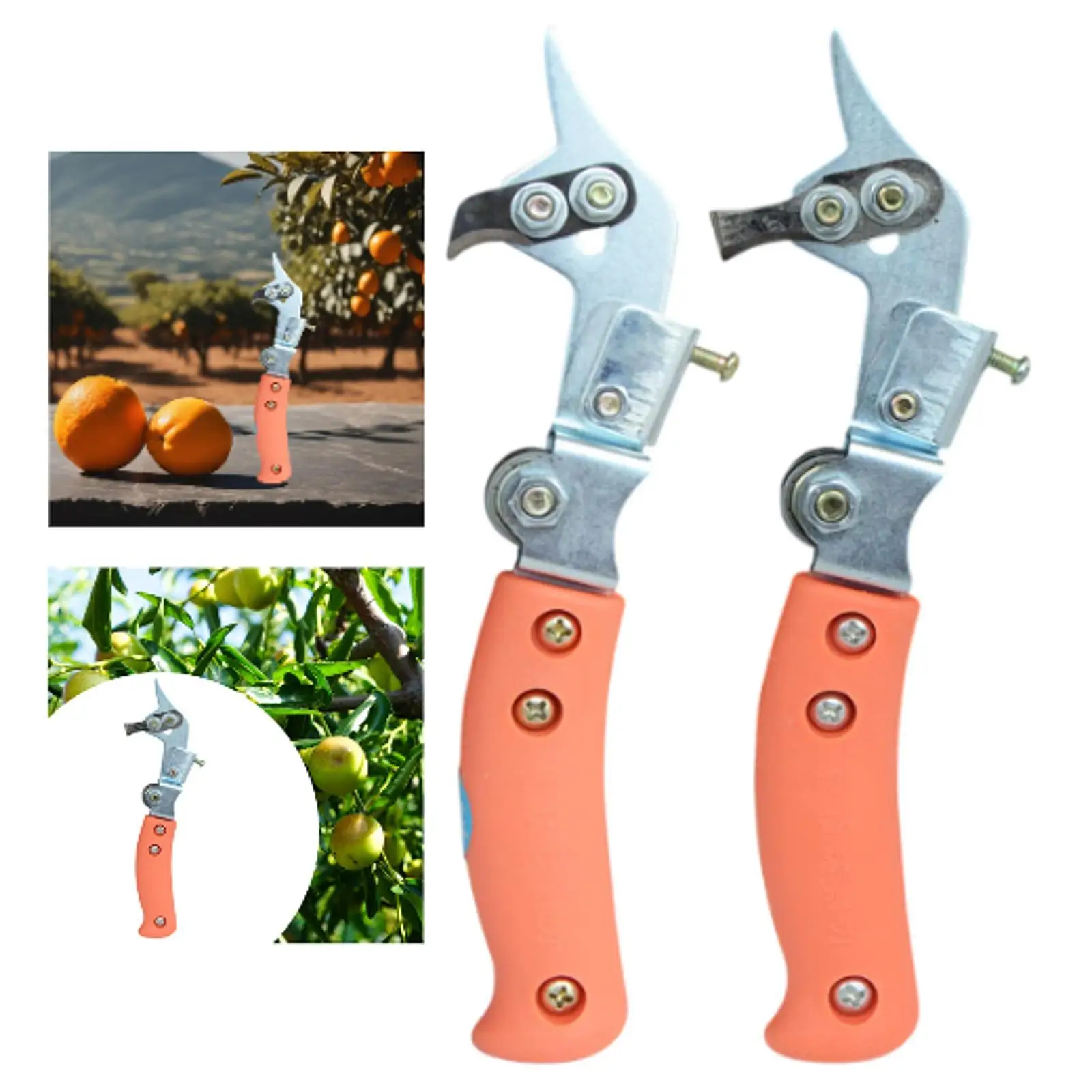Taglia anelli per alberi da frutto Cesoie per rami Manico ergonomico pratico Migliora i rendimenti Forbici da taglio per anelli robuste per la casa