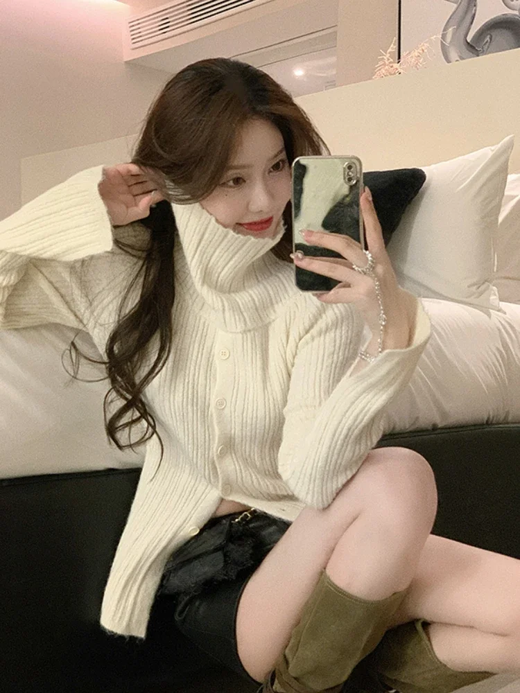 2024 Spring Elegant Crochet Sweater Women Turtleneck Sweater Female Long Sleeve Pure Color Knitted Tops Korean Style Blouse