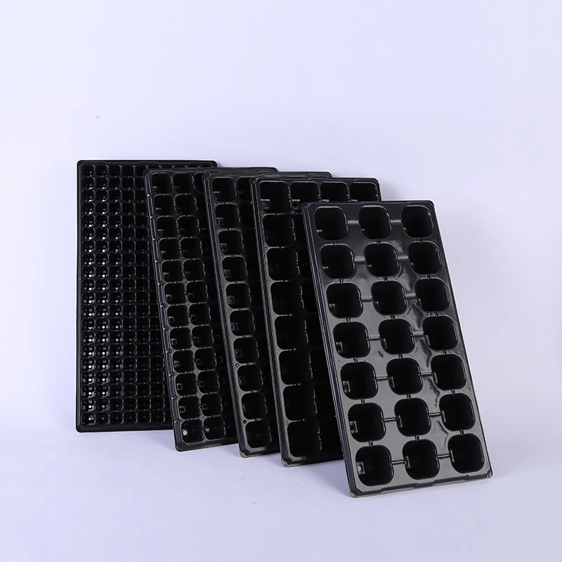 5PC Seedling Plate Flat Plate Plastic Seedling Box Thickened Transparent Simple Seedling Plug