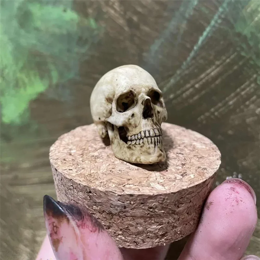 3D Printed Handmade 1:6 Realistic Skeleton Head Figure for Collectible Figurines Home Decor Accessories Fish Tank View Figurines