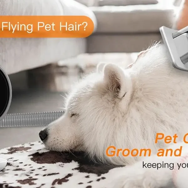 5 In 1 Dry Room Hair Machine Grooming Automatic Pet Dryer Set Professional Vacuum Trimmer Pet Grooming Vacuum