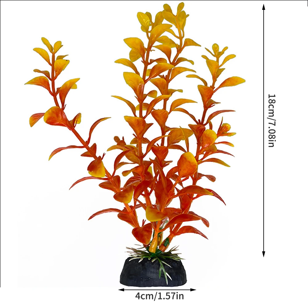 Thumbnail 4 - #53 Trending Decorative Aquarium Plants Right Now