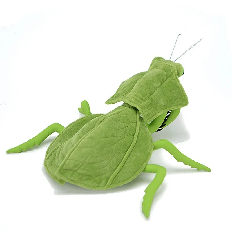 28 cm süße Blatt-Mantis Deroplatys Plüschtier echte Simulation Brancsikia Parablepharis weiche Puppe lebensechte Stofftiermodell Geschenk