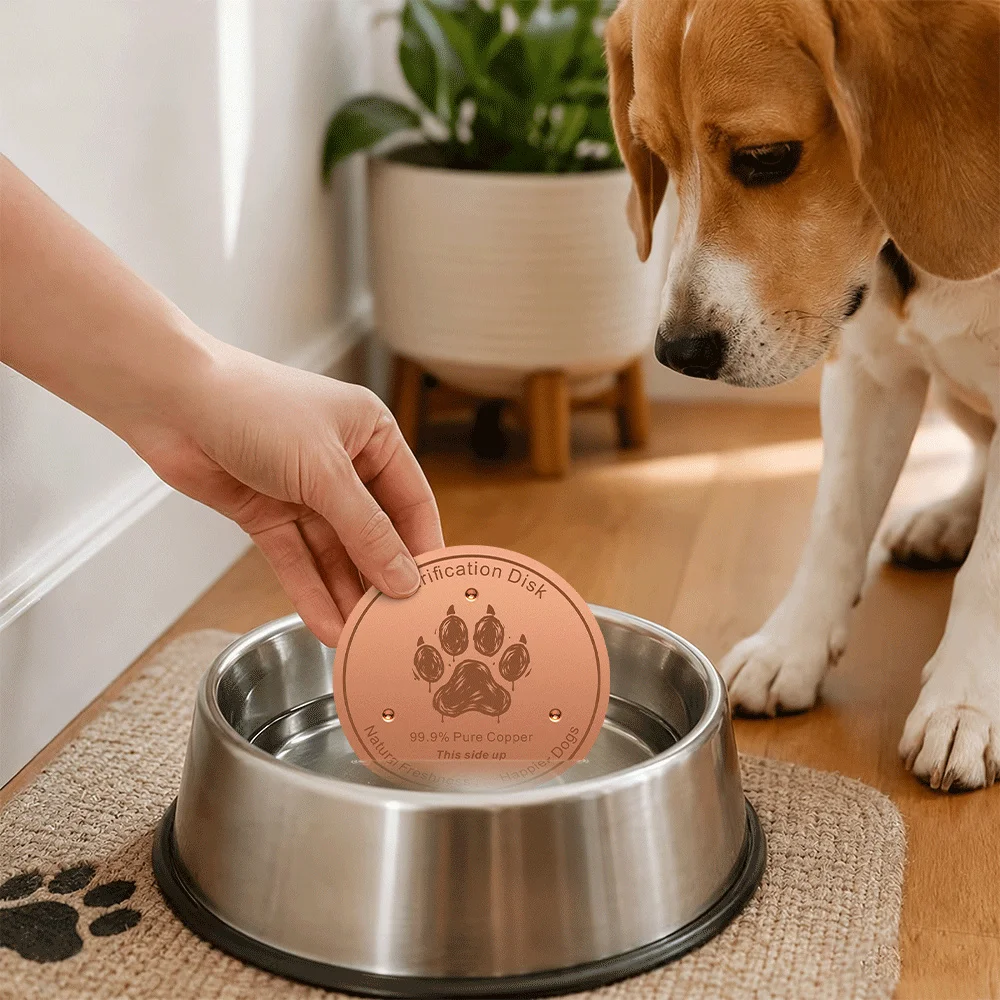 Pure Copper Pet Water Filter Disc 99.9% Purification Plate99.9% Pure Copper Water Purification Disk for Dog and Cat Bowls