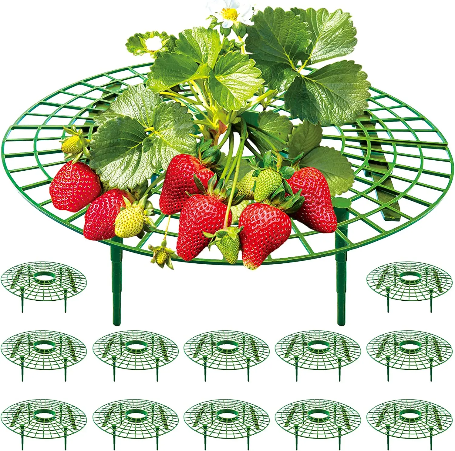 5/10/20Pcs Strawberry Supports Fruit Vegetable Growing Rack Strawberry Holder for Keeping Fruit Elevated To Avoid Ground Rot