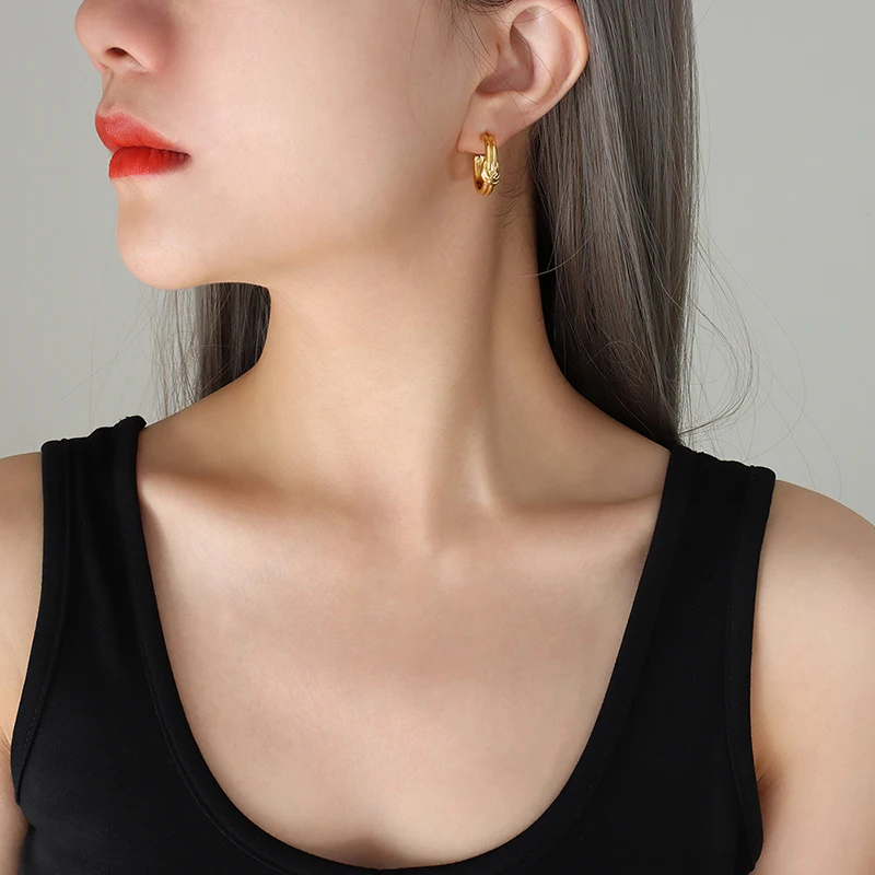 

CINSY Jewelry Stainless Steel Earrings Jewelry For Women Kolczyki Brincos Piercing Christmas Aretes Earrings For women Pendiente