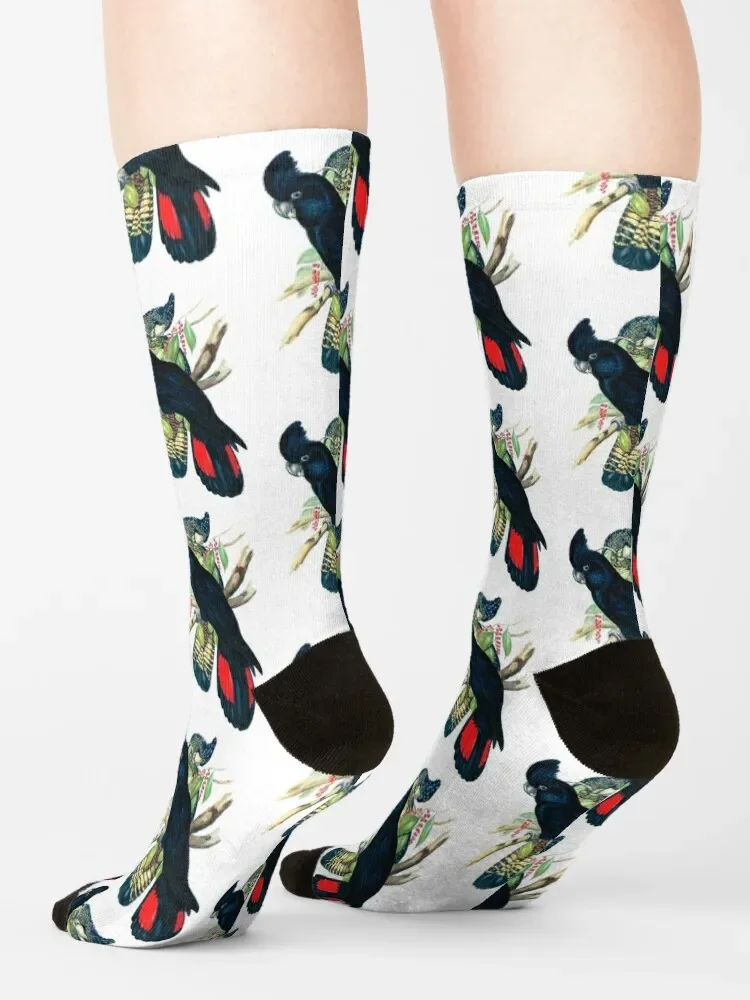 Calcetines de cacatúa negros Banksian australianos para hombre y mujer, Medias móviles con estampado, regalo de senderismo, Diseñador