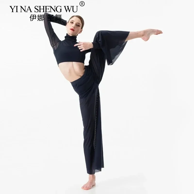

Women Elegant Modern Dance Outfit Mesh Tops Pants Suit Contemporary Lyrical Ballet Performance Costume